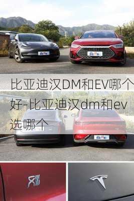 比亚迪汉DM和EV哪个好-比亚迪汉dm和ev选哪个