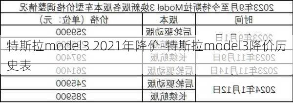 特斯拉model3 2021年降价-特斯拉model3降价历史表