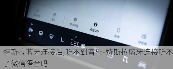 特斯拉蓝牙连接后,听不到音乐-特斯拉蓝牙连接听不了微信语音吗