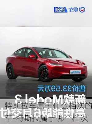 特斯拉车属于什么档次的车-特斯拉属于哪个档次