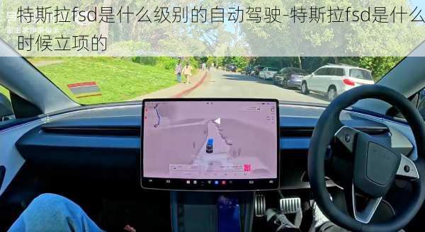 特斯拉fsd是什么级别的自动驾驶-特斯拉fsd是什么时候立项的