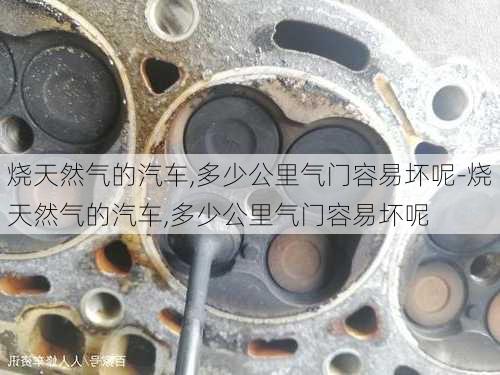 烧天然气的汽车,多少公里气门容易坏呢-烧天然气的汽车,多少公里气门容易坏呢