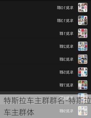 特斯拉车主群群名-特斯拉车主群体